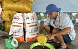 Nông dân Miệt Thứ, An Giang vào vụ tôm giữa 'vòng vây' chi phí cao