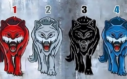 Quiz: Bạn cần không gian riêng tư khi nào?