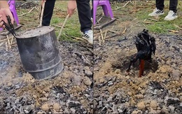 Gà nướng bóng đêm