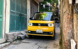 Wuling Mini EV biến mất khỏi website chính thức, chính thức bị khai tử ở Việt Nam?