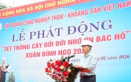Gieo mầm xanh trên đất mỏ