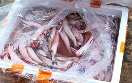 Bộ Nông nghiệp và Môi trường trả lời cử tri TP.HCM về giải pháp ngăn thực phẩm bẩn, dùng chất cấm