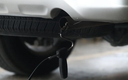 Cách tra cứu giấy chứng nhận kiểm định điện tử