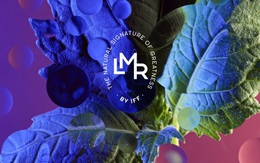 Tái tạo giá trị từ phụ phẩm và chất thải của ngành nước hoa cao cấp