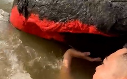 Tảng đá trên sông ở Đà Nẵng 'nở hoa' đỏ rực, có gì bất thường?