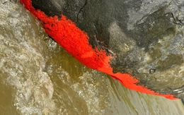 Độc lạ tảng đá nổi màu đỏ rực giống 'nở hoa' ở Đà Nẵng