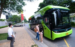 Ngày bầu cử, TP.HCM miễn phí thêm 14 tuyến xe buýt ở Bình Dương, Vũng Tàu cũ