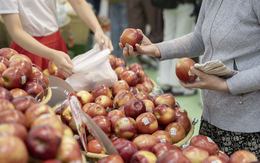 Hội đồng táo Washington: Việt Nam là thị trường xuất khẩu lớn thứ 5 của bang