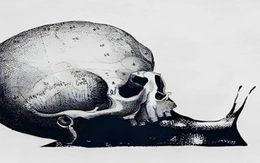 Quiz: Bạn điềm tĩnh và cẩn trọng hay là người nhạy cảm