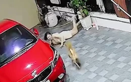 Cô gái ngã sấp mặt vì trêu chó