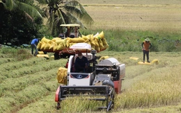 Bộ Nông nghiệp và Môi trường trả lời cử tri về giải pháp kiểm soát giá vật tư nông nghiệp