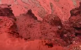 Anh vừa nóng kỷ lục đầu năm, vừa có tuyết và 'mưa máu'