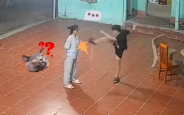 Chồng múa võ mèo bị vợ hạ knock-out một nốt nhạc