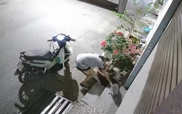 Ngày 8-3, cô gái đi ăn trộm mèo bị bắt quả tang