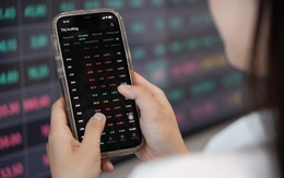 Phân tích nguyên nhân đáng chú ý khiến VN-Index giảm sâu, tránh hoảng loạn để 'mất hàng'