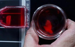 Nhật Bản lần đầu cho phép thương mại hóa thuốc từ tế bào iPS