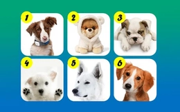 Quiz: Bạn cá tính hay là người điềm tĩnh, chu đáo?