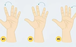 Quiz: Hình dạng bàn tay xòe tiết lộ gì về con người bạn?