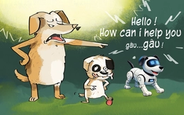 Hết 'con nhà người ta' lại đến... chó nhà người ta