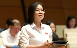 Kỳ họp thứ nhất, Quốc hội khóa XVI