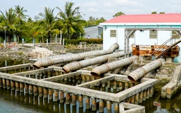 Miền Tây sống chung với hạn mặn, không chống mặn bằng mọi giá