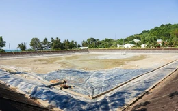 Khô hạn ‘bủa vây’, dân trên đảo Hải Tặc tất bật trữ nước ngọt