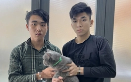 Cảnh sát hình sự bắt 3 người trộm chó bandog và mèo lông xám ở TP.HCM