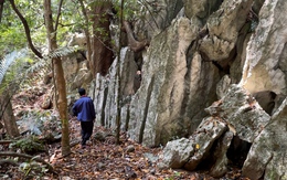 Cận cảnh bức tường đá bí ẩn giữa rừng nguyên sinh Quảng Trị