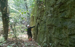 Khảo sát bức tường đá bí ẩn giữa rừng nguyên sinh Quảng Trị