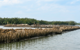 Bác khiếu nại của người bao chiếm đầm Đông Hồ