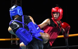 Việt Nam xếp hạng 3 cúp thế giới ở môn võ giàu tính thực chiến kickboxing