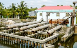 Kịch bản hạn mặn 2026 và tư duy chủ động thích ứng