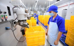 Nhiều doanh nghiệp chậm đóng bảo hiểm xã hội, nợ gần 900 tỉ đồng, vì sao?