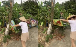 Cô gái suýt u đầu khi hứng mít