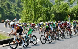 Lộ trình chặng 12 cuộc đua xe đạp Cúp truyền hình TP.HCM