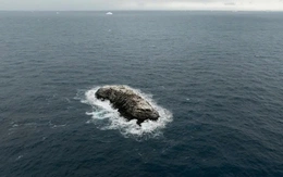 Bất ngờ phát hiện hòn đảo bí ẩn giữa 'vùng nguy hiểm' Nam Cực