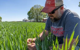 Mỹ - Israel tấn công Iran