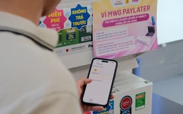 Giải nhiệt trước, trả tiền sau với ví MWG Paylater tại Điện Máy Xanh