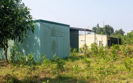 Hàng loạt nhà trái phép trên đất nông nghiệp tại dự án quốc lộ 15D