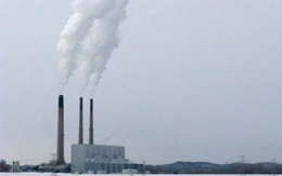 Hệ lụy từ cơn sốt trí tuệ nhân tạo tại Mỹ