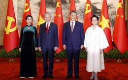 Tổng Bí thư, Chủ tịch nước Tô Lâm hội đàm với Tổng Bí thư, Chủ tịch nước Trung Quốc Tập Cận Bình