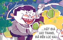 'Quỹ bình ổn mồi nhậu' thời giá cả leo thang