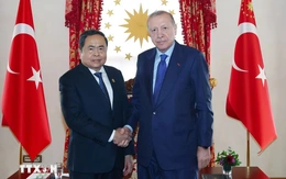Thổ Nhĩ Kỳ muốn đưa quan hệ với Việt Nam lên tầm cao mới
