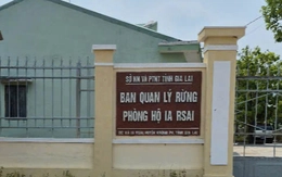 Bắt Giám đốc Ban Quản lý rừng phòng hộ Ia Rsai, Gia Lai