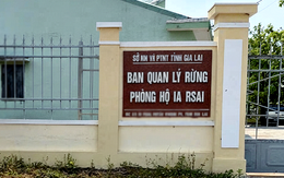 Bắt Giám đốc Ban Quản lý rừng phòng hộ Ia Rsai, Gia Lai