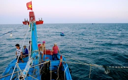 Quảng Ngãi công bố 3 khu vực biển làm nơi nhận chìm 9,2 triệu m³ chất nạo vét