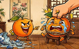 Thành ngữ quen thuộc này là gì? (P57)