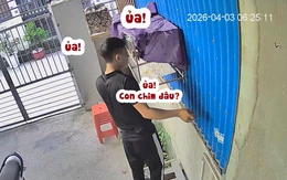 Chàng trai 'tiếc đứt ruột' khi chim sổ lồng không hay biết