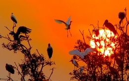 81 ảnh kể chuyện thiên nhiên Việt Nam trước biến đổi khí hậu