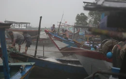 Năm nay đề phòng bão có thể đổ bộ vào Nam Bộ tương tự các năm 2012, 2018